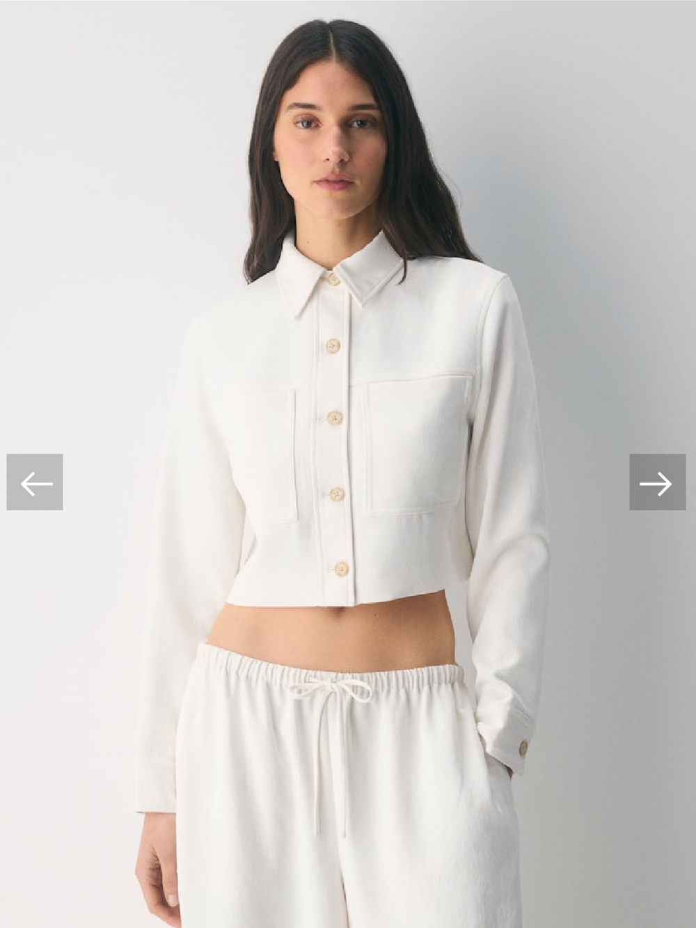 Aritzia Little Cropped Jacket